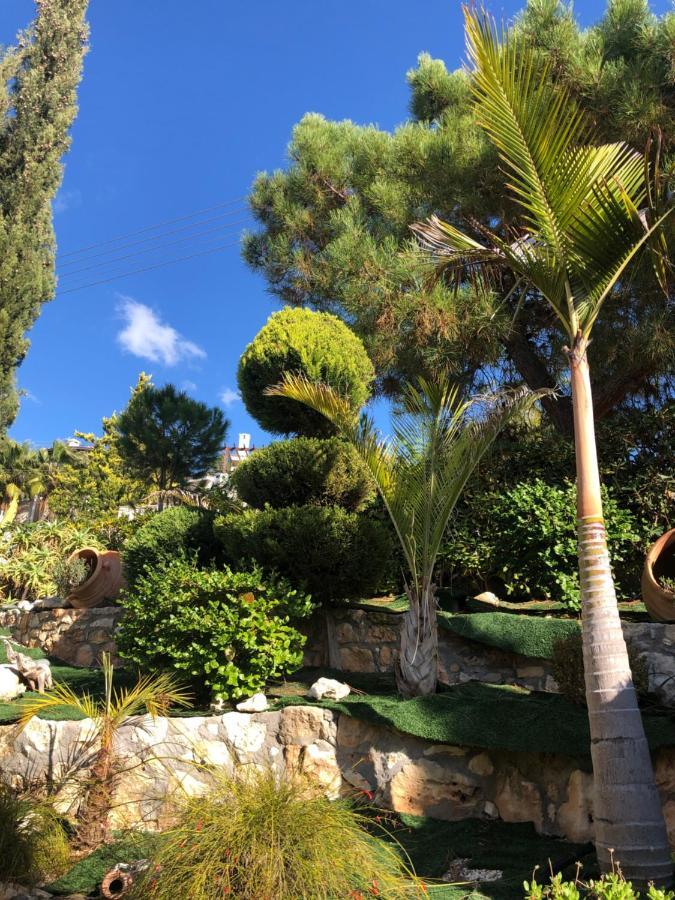 Villa Daria Four Bedroom Kamares Village, Tala بافوس المظهر الخارجي الصورة
